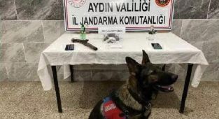 Aydın’da uyuşturucu denetiminde 10 şüpheli yakalandı