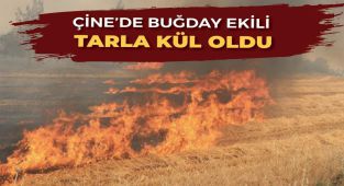 Çine’de buğday ekili tarla kül oldu