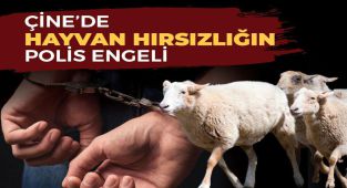 Çine’de hayvan hırsızlığına polis engeli