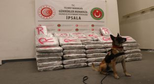 Dedektör Köpekler Yüzlerce Kilo Esrara Geçit Vermedi!
