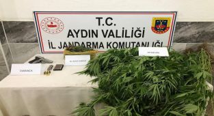 Efeler'de jandarmadan huzur operasyonu