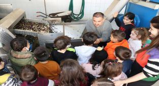 İMİ Koleji’nden Zeytin Ve Zeytinyağının Yolculuğu Gezisi
