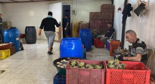 Kaçar: Enginar bütün vücudun dostu