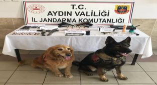 Nazilli’de 2 ayrı adrese baskın düzenlendi