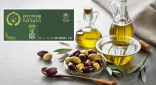 Zeytinyağı Kalite Yarışması İçin Başvurular Başladı